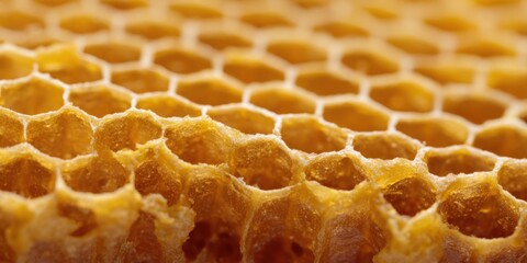 Close-up of golden honeycomb texture with hexagonal patterns