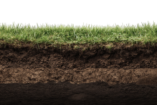 Cross-section of soil layers showcasing rich earth tones, vibrant grass, and underlying nutrients contributing to plant growth on transparent background