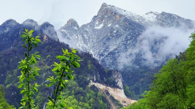 The Green Valley of the Karmadon Gorge with a view of the Kolka Glacier. The Main Caucasian Range. A summer view of the Karmadon Gorge. A mountain valley after a rock and ice collapse. Snowy peaks.4K