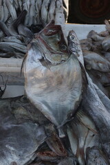 Dried Flatfish at a Seafood Market