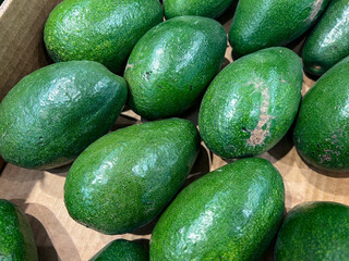 Fresh green avocados in cardboard box displayed at market for sale