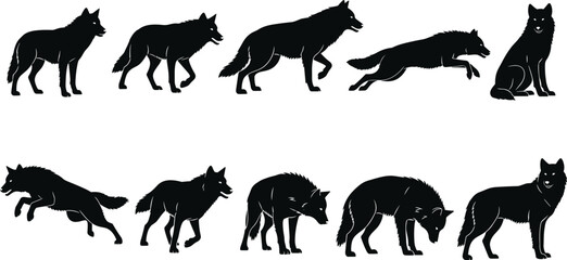 Wolf silhouette collection in dynamic poses, animal motion study, wild behavior, black icons, nature illustration, anatomy reference, wildlife