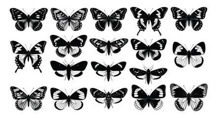 Fototapeta premium Vector collection of butterfly silhouettes showcasing diverse wing shapes and patterns, graphic illustration, isolated black designs, flat style, top view