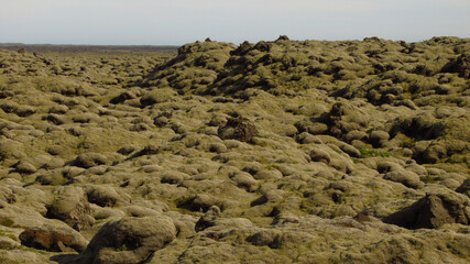 Lumpy Green Volcanic Rocks Landscape