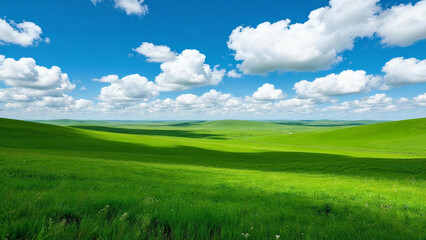 Obraz premium Sunny Prairie with Clouds