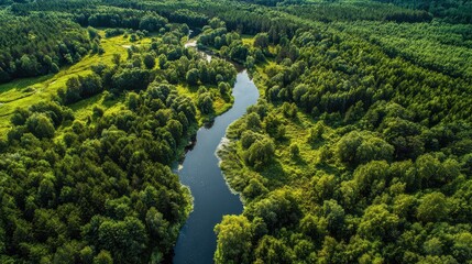 Obraz premium Aerial Perspective of the Brda River Flowing Through Lush Green Forests in Tuchola National Park, Poland. A Wild and Serene Landscape