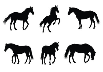 vector Collection of horse silhouettes in various poses vector illustration of equine animals isolated on white background
