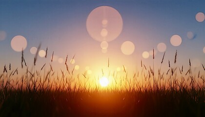 Sunset Silhouette Grass Nature Warm Golden Peaceful Scene