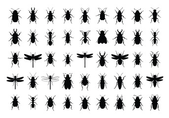 Fototapeta premium vector Set of insect silhouettes vector illustration of various bugs and insects isolated on white background
