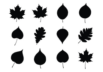 Obraz premium vector Set of various leaf silhouettes black flat vector design elements isolated on white background