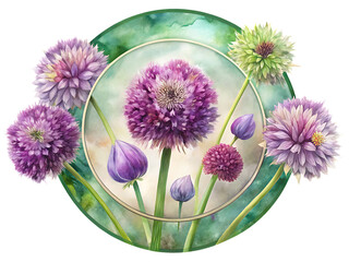 Watercolor painting of purple and green allium flowers arranged in a circular composition art piece on transparent background