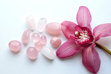 Natural rose quartz stones and a pink cymbidium orchid flower on a white background. Healing crystals.