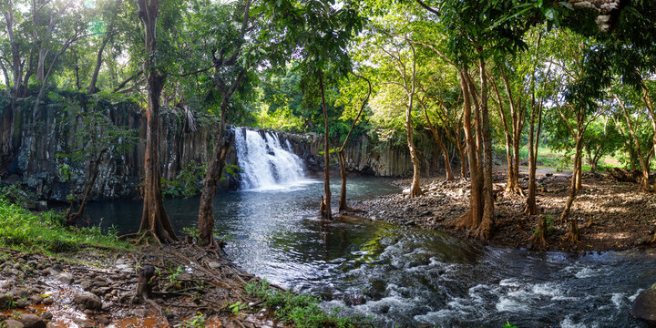 Rochester Falls cascading over basalt columns tropical forest, Mauritius - Powered by Adobe