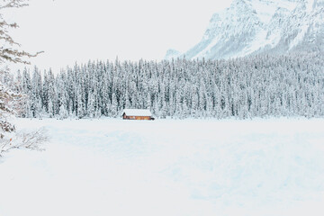 winter mountain landscape in Alberta 