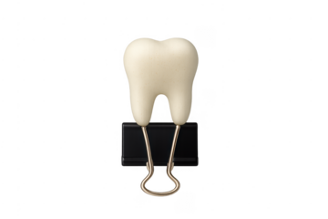 Tooth held by binder clip on transparent background