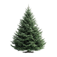 Lush Green Evergreen Tree Standing Tall with Dense Branches and Needles Showcasing Natural Beauty and Charm on Transparent Background