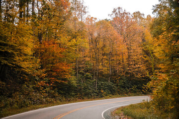 fall colors in Boone North Carolina