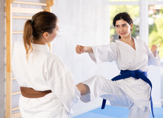Obraz premium Karate practitioners showcase their techniques in dynamic sparring session, focusing on speed and accuracy.
