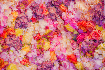 Obraz premium 多色の花びらの密集した配置 / Multicolored flower petals in dense arrangement