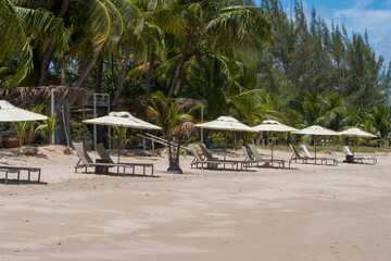 Playa con palmeras y reposeras en Maragogi, Brasil