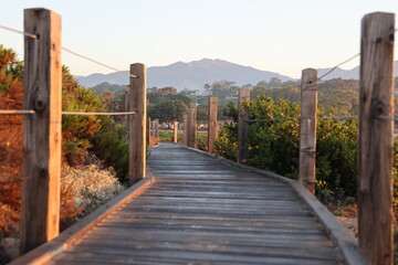 Fototapeta premium Malibu, Point Dume
