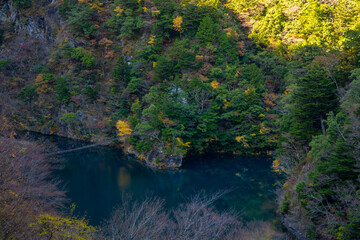 Autumn Dream Suspension Bridge over Emerald Lake in Sumatakyo, Japan