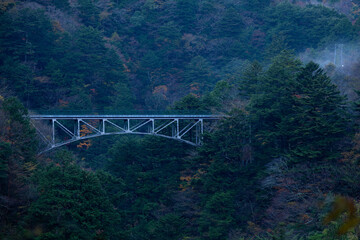Hiryu Bridge in Autumn, Sumatakyo, Shizuoka