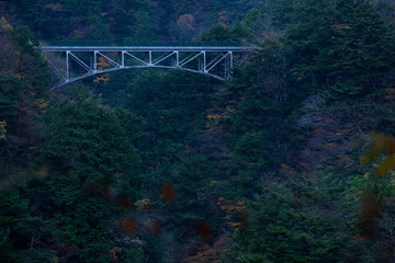 Hiryu Bridge in Autumn, Sumatakyo, Shizuoka