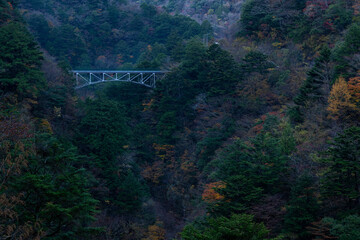 Hiryu Bridge in Autumn, Sumatakyo, Shizuoka
