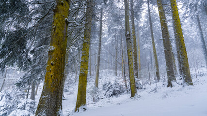 LAKE GOLCUK NATIONAL PARK