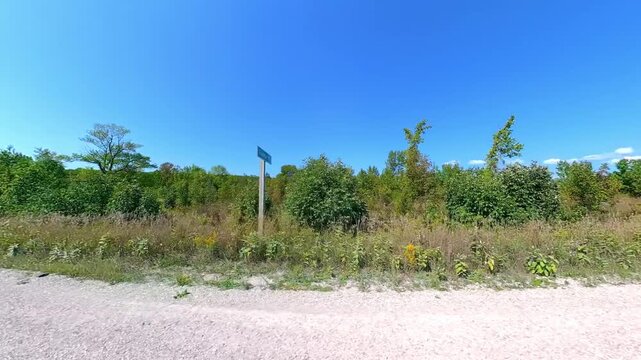 Side view country road driving plate POV, walls of lush trees on passenger side. Driving car in country road at early fall in Manitoulin Island. Road around Lake Manitou, Ontario, Canada.