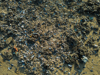 High-Contrast Texture of Sandy Beach Covered in Broken Blue Shells and Coastal Debris