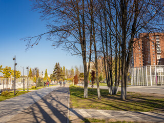 Park with a sidewalk and a path