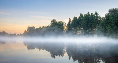 Fototapeta premium The sky is blue and the trees are green