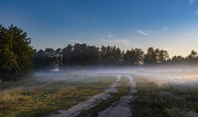 Foggy morning in a field with trees in the background
