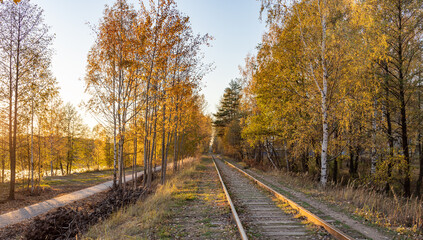 Train track surrounded by trees with leaves changing colors