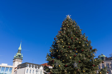 The photograph captures a large, richly decorated Christmas tree on a bright, sunny day. The tree, with its dense needles, soars against an intensely blue sky