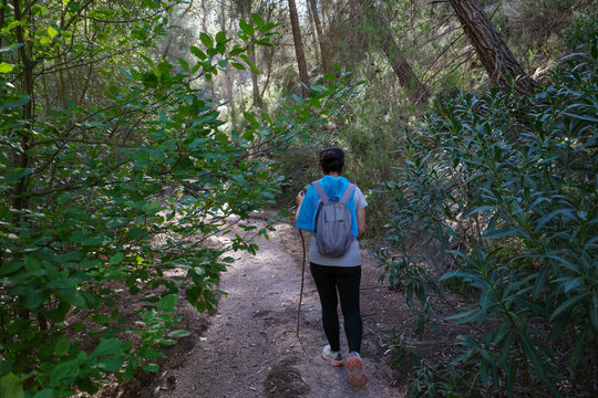 A woman walks along a path between bushes and tall pine trees, carrying a backpack and a cap on her back, holding a wooden stick for support.