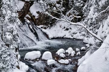 Tatra National Park in Poland.
Snowy winter landscape. Snow covered trees in forest.