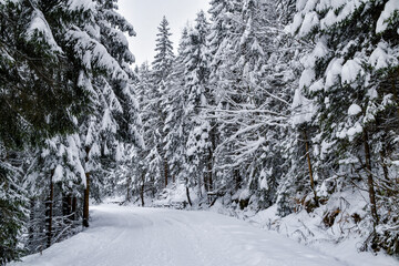 Tatra National Park in Poland.
Snowy winter landscape. Snow covered trees in forest.