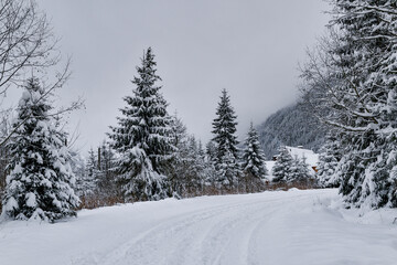 Tatra National Park in Poland.
Snowy winter landscape. Snow covered trees in forest.