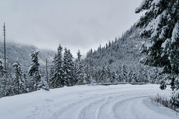 Obraz premium Tatra National Park in Poland. Snowy winter landscape. Snow covered trees in forest.