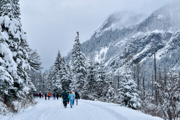 Tatra National Park in Poland. Snowy winter landscape. Snow covered trees in forest. © ngchiyui