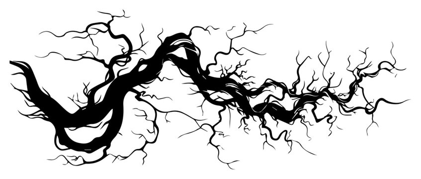 Spooky dead tree branch silhouette, twisted dry roots vector illustration for halloween