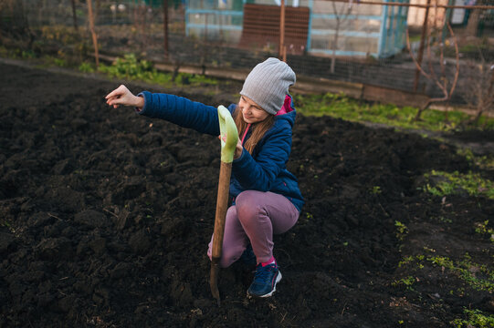 A photograph of a beautiful teenage girl with a shovel spreading fertilizer on the soil in a vegetable garden outdoors. Agricultural concept.