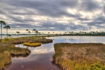 Cloudy late Autumn view of trees beside a marsh along a nature trail beside Gator Lake, near Gulf Shores, Alabama.