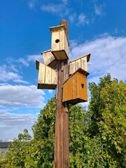 Birdhouses are nailed to one pole, facing in different directions