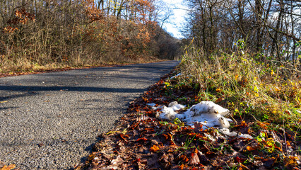 Road in the forest covered in snow