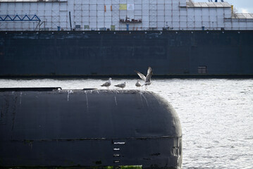 Russian Submarine in the Hamburg Port. Old russian submarine with seagulls at the Hamburg Harbor. Landungsbrücken.