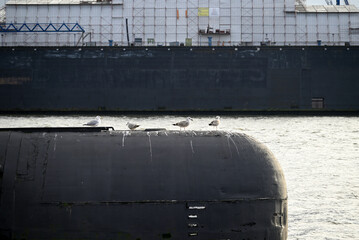 Russian Submarine in the Hamburg Port. Old russian submarine with seagulls at the Hamburg Harbor. Landungsbrücken.